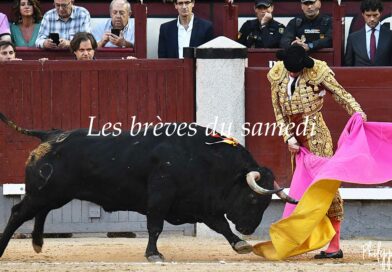 Les brèves du samedi 30 novembre