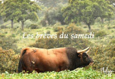 Les brèves du samedi 7 septembre