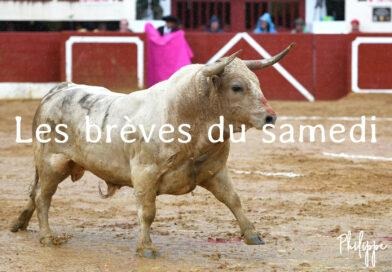 Les brèves du samedi 23 novembre