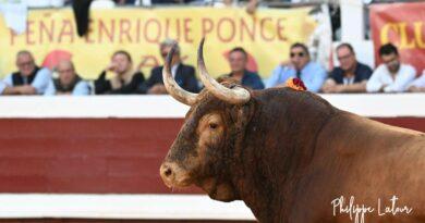 Dax, le corrida de Margé en photos